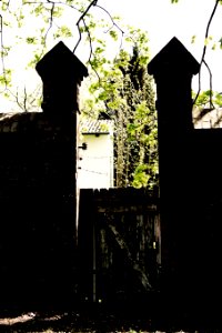  DSC1080