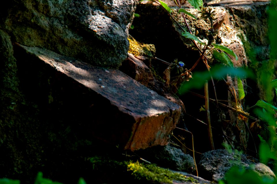 Mauer063