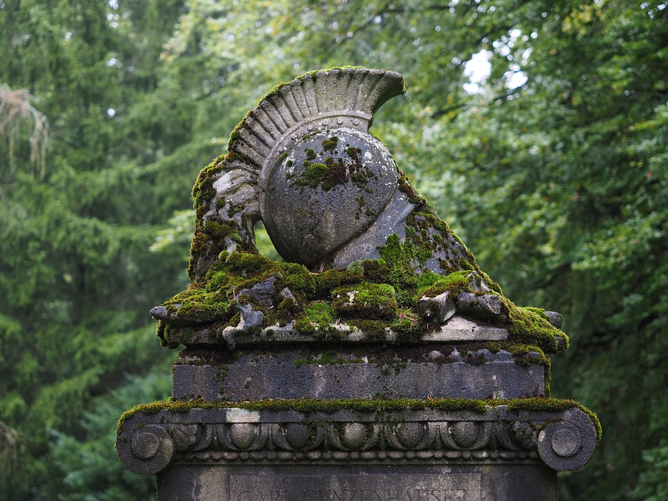 Cemetery woodland cemetery graves