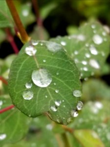 Day 272 a bit of rain
