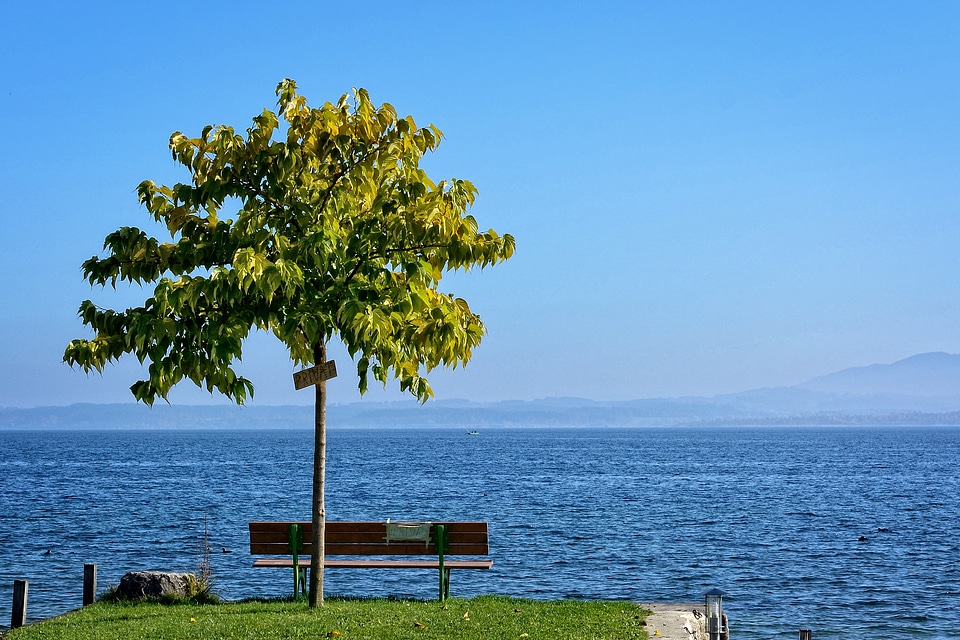 Bench lake landscape