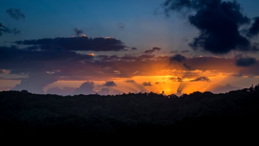 rain forest sunset