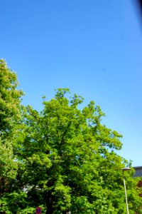 Kiel 24Mai20150011
