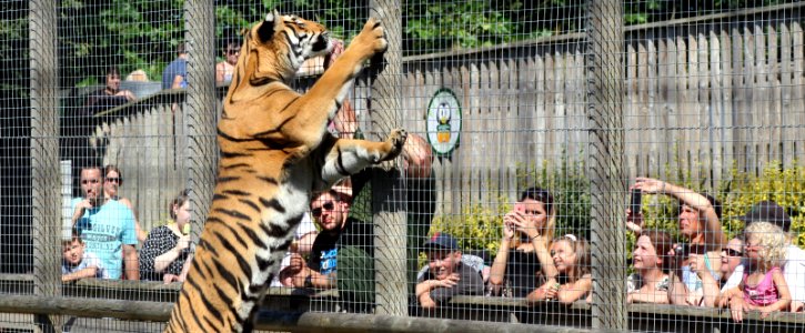 Wingham Wildlife Park photo