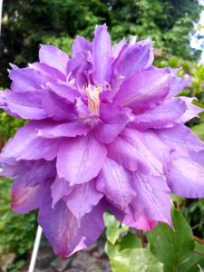 2015-05-31 17.59.19