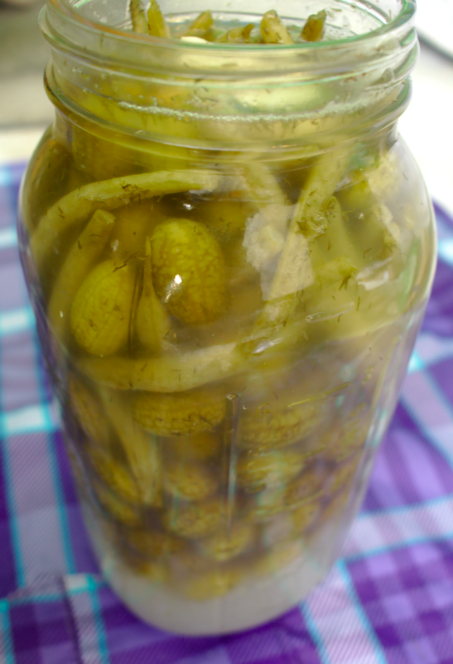 Lactofermentation in a Mason Jar