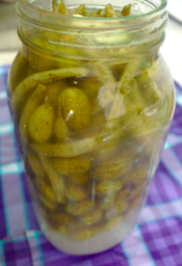 Lactofermentation in a Mason Jar photo