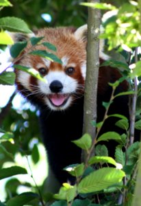 Wingham Wildlife Park