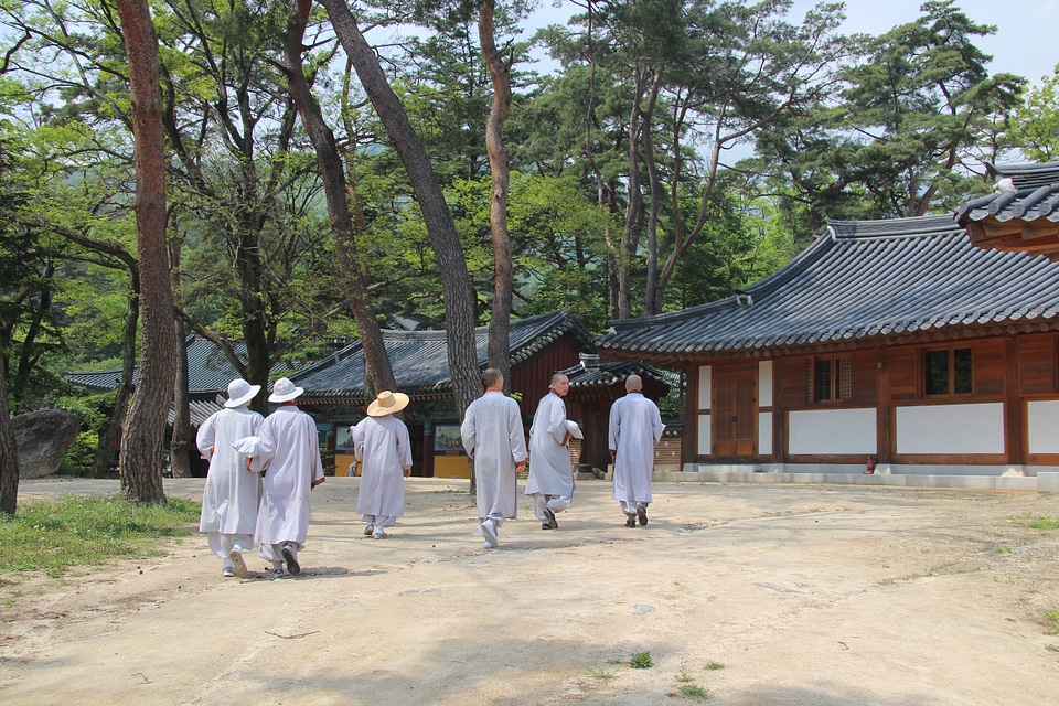 Pine temple buddhism