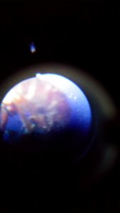 Microscope