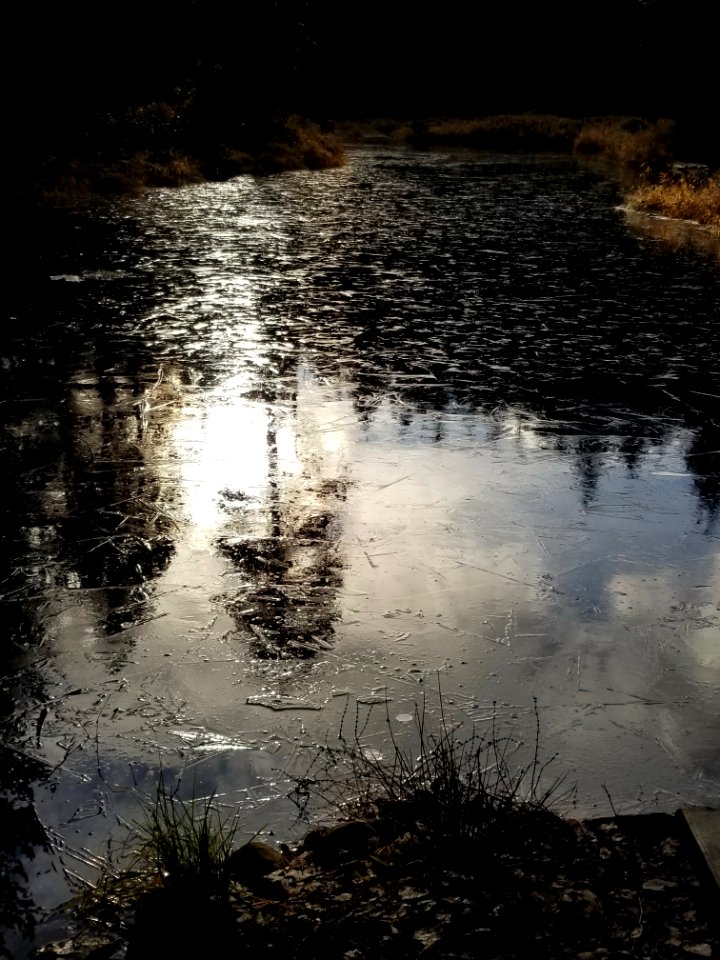 Day 338 walk in the park, ice on the marsh