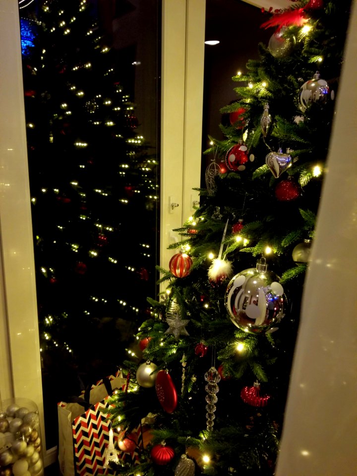 Day 350 Christmas reflection