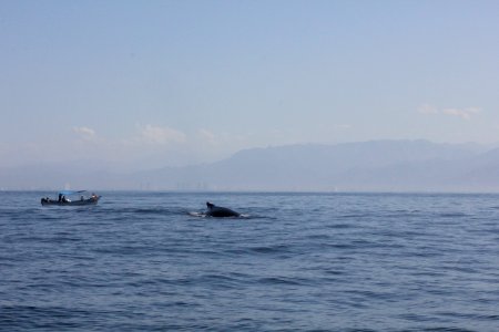 IMG 8556