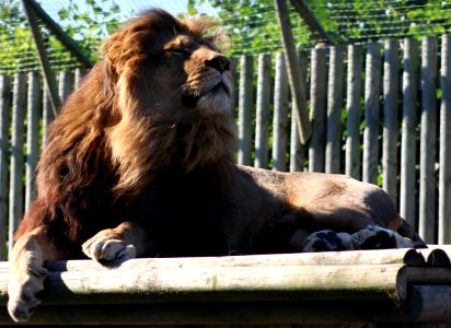 Wingham Wildlife Park