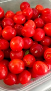 Day 185 sour cherries