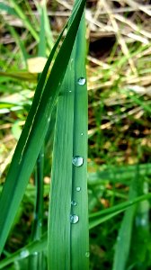 Vertical drops