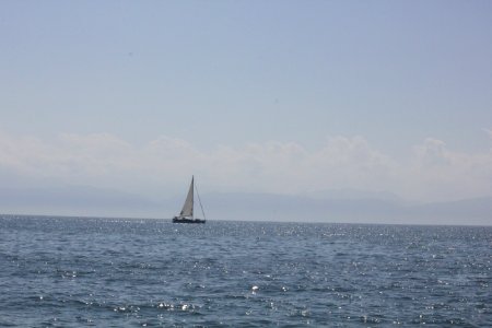 Sailboat. Banderas Bay photo