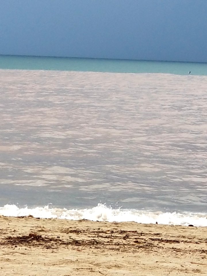 Day 273 la playa