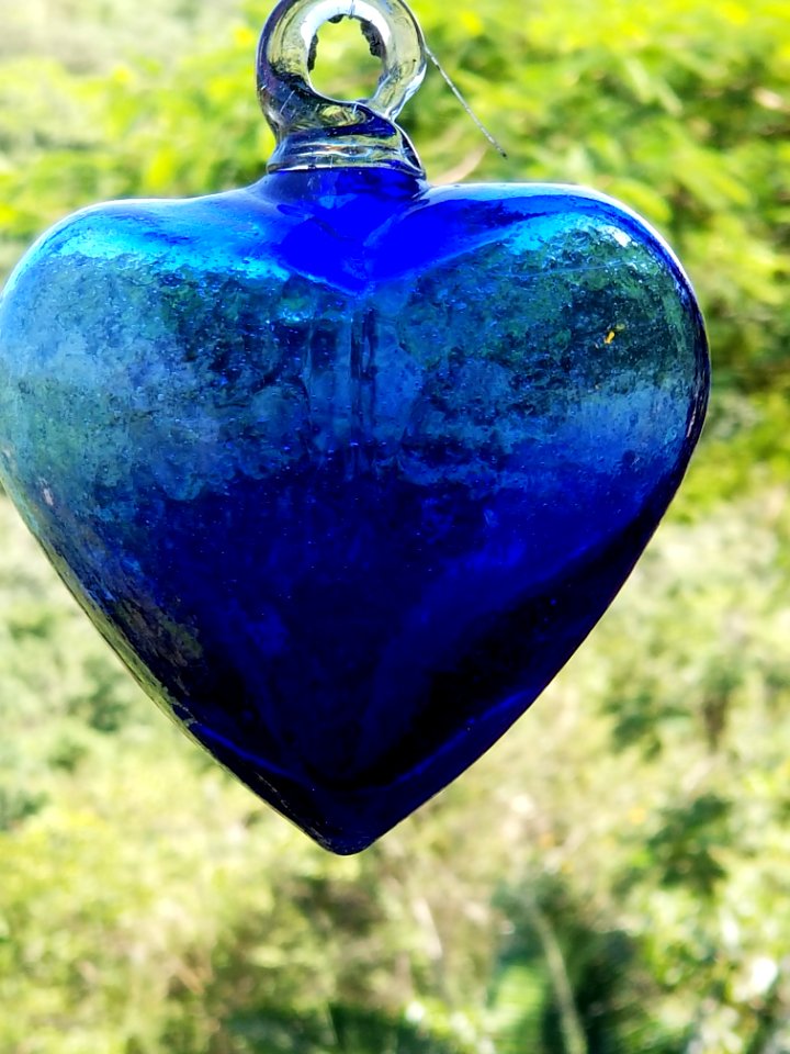 blue heart botanical gardens