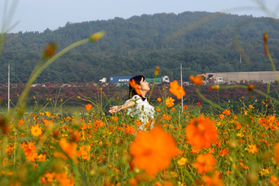 대구 노곡동 하중도