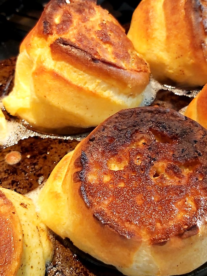Yorkshires