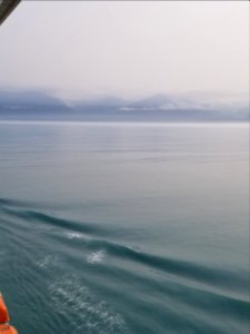 20190710 173822