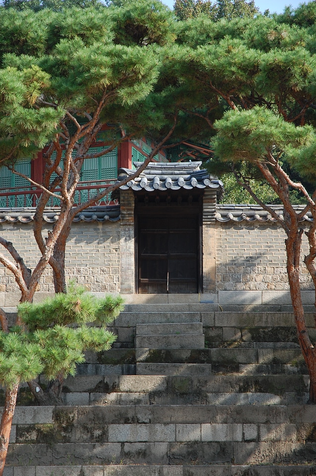 Landscape south korea spring