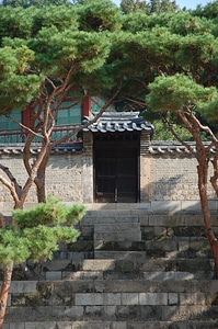 Landscape south korea spring