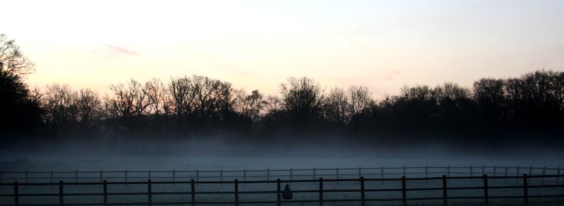 IMG 0522 (2)