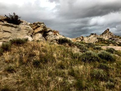 Avenue of Rocks