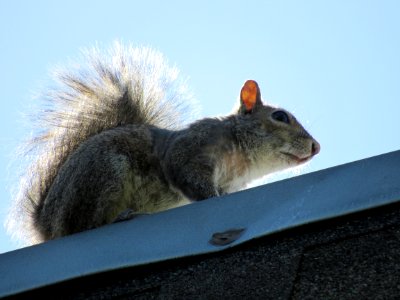 Catching Some Rays
