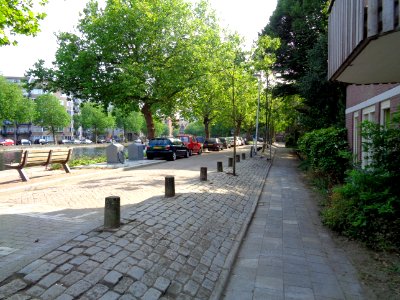 DSC01239