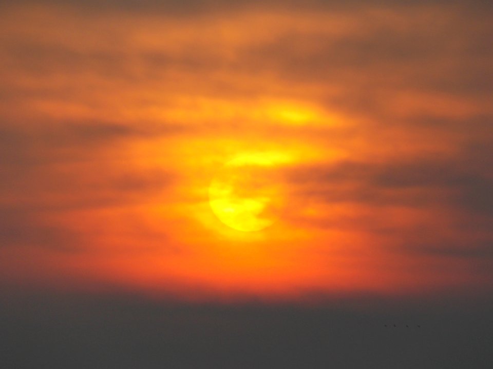 DSCN4477
