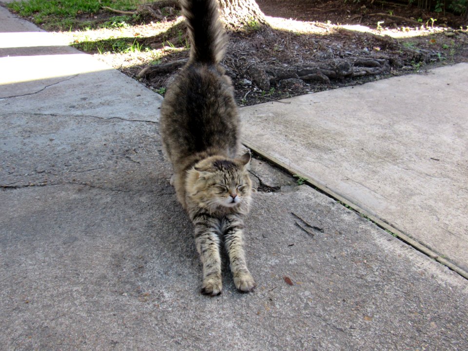 All Stretched Out