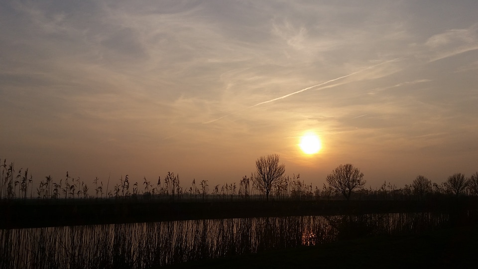 Lake trees sky