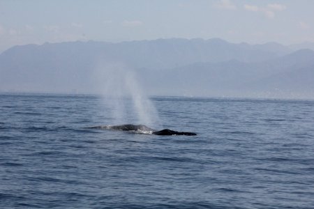 IMG 8542