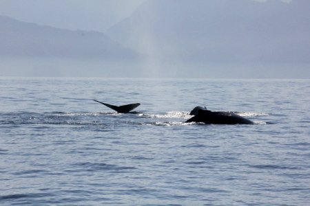 IMG 8582