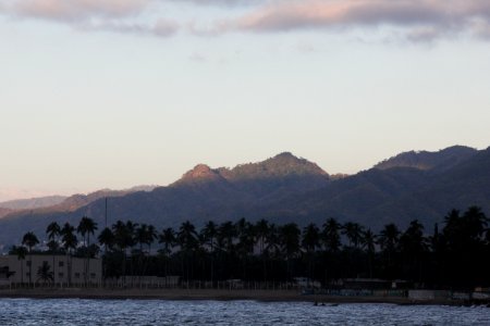 IMG 8421