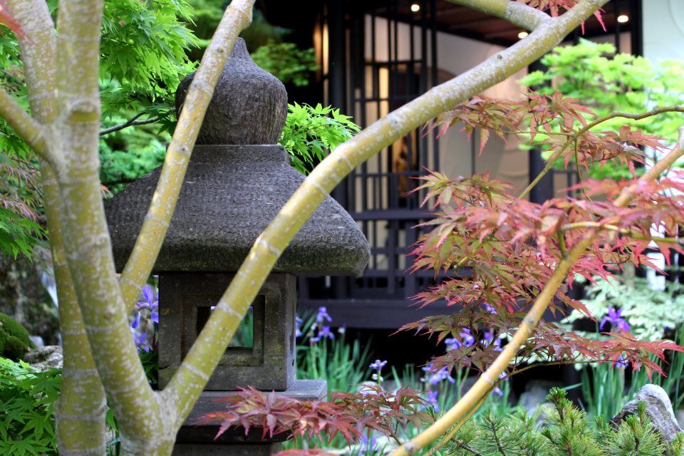 Chelsea Flower Show 2018-13