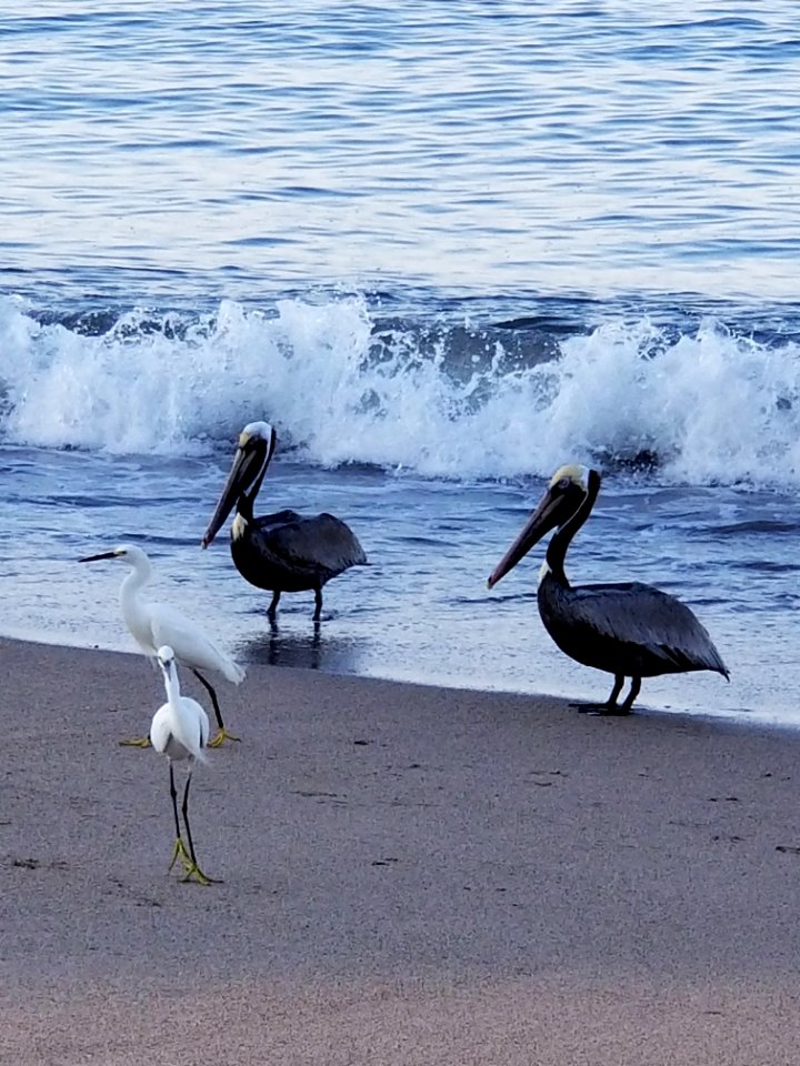 Watching the fishermen
