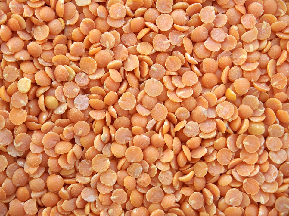 Dried legume vegetarian