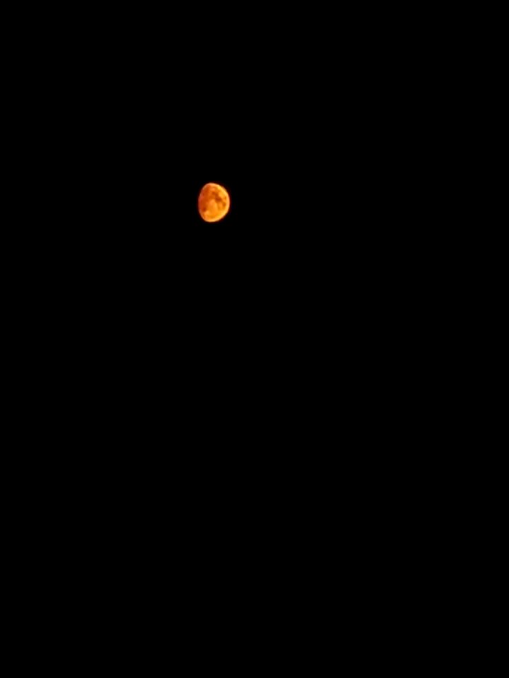 Day 231 red moon, smoky night photo