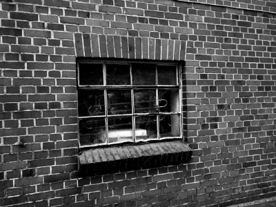 Fenster