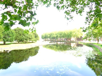 DSC01155