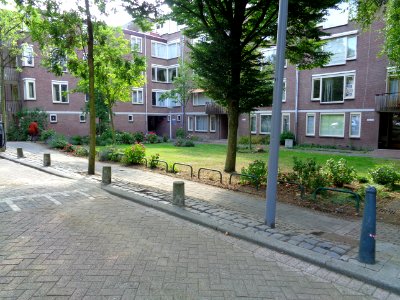 DSC01242