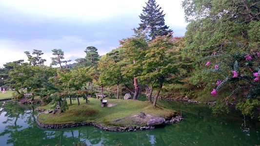 nara park