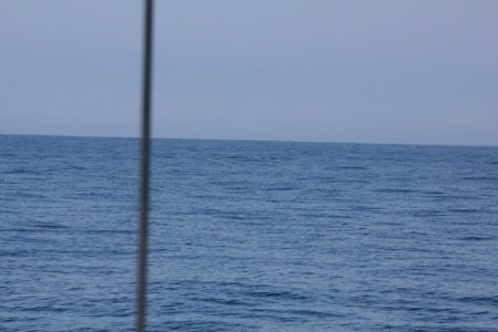 IMG 8530
