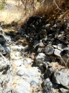 Alona & Polystipos, Cyprus