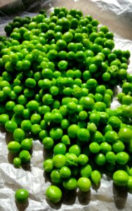 #365photo Giving peas a chance