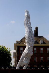Chelsea Flower Show 2018-32